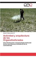 Actividad y Arquitectura de Los Organofosforados