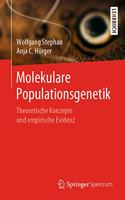 Molekulare Populationsgenetik: Theoretische Konzepte Und Empirische Evidenz