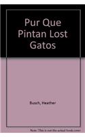 Pur Que Pintan Lost Gatos