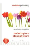 Heliotropium Stenophyllum: (English)