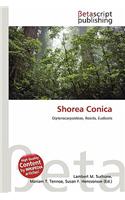 Shorea Conica: (English)