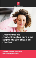 Descoberta de conhecimentos para uma segmentação eficaz de clientes