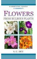 Flowers From Bulbous Plants