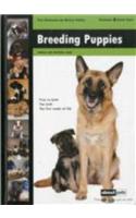 Dog Breeding.