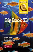 Big Book 3B: Lively texts and vibrant illustrations support shared reading and writing: Book 18 (Focus on Literacy)