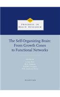The Self-Organizing Brain