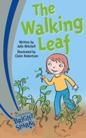 Bright Sparks: The Walking Leaf