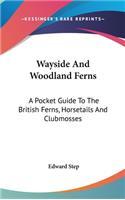 Wayside And Woodland Ferns