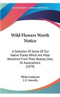 Wild Flowers Worth Notice