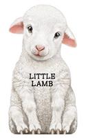 Little Lamb