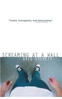 Screaming at a Wall