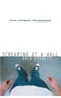 Screaming at a Wall