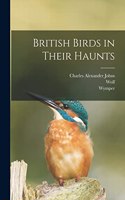 British Birds in Their Haunts