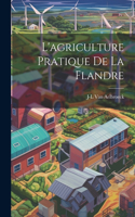 L'agriculture Pratique De La Flandre