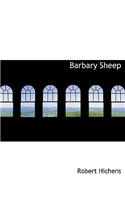 Barbary Sheep