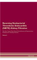 Reversing Nonbacterial Thrombotic Endocarditis (NBTE): Kidney Filtration The Raw Vegan Plant-Based Detoxification & Regeneration Workbook for Healing Patients.Volume 5