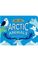 Arctic Animals