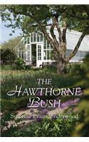 The Hawthorne Bush