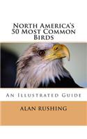 North America's 50 Most Common Birds