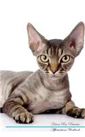 Devon Rex Affirmations Workbook Devon Rex Presents: Positive and Loving Affirmations Workbook. Includes: Mentoring Questions, Guidance, Supporting You.