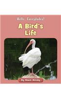 A Bird's Life