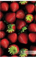 Password Log: New Year Strawberry Festival(My Secret Password Logbook)
