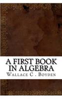 A First Book in Algebra