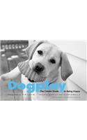 Dogplay
