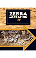 Zebra Migration