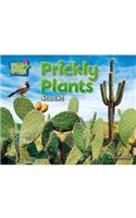 Prickly Plants