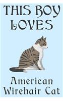 This Boy Loves American Wirehair Cat Notebook
