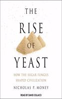 Rise of Yeast