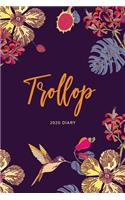 2020 Diary; Trollop
