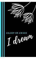 Asleep or Awake, I Dream