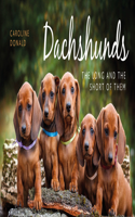 Dachshunds