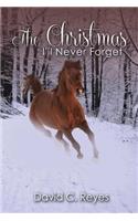 The Christmas I'll Never Forget