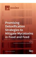 Promising Detoxification Strategies to Mitigate Mycotoxins in Food and Feed