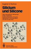 Silicium Und Silicone