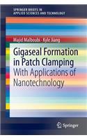 Gigaseal Formation in Patch Clamping