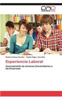 Experiencia Laboral