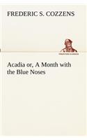 Acadia or, A Month with the Blue Noses