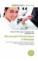 Microscopie Electronique a Balayage: (French)
