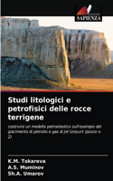 Studi litologici e petrofisici delle rocce terrigene