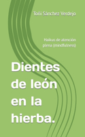 Dientes de león en la hierba.