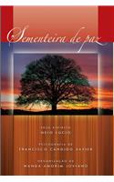 Sementeira de Paz