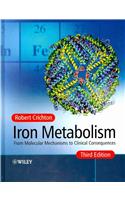 Iron Metabolism: From Molecular Mechanisms to Clinical Consequences