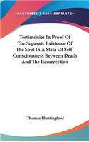 Testimonies In Proof Of The Separate Existence Of The Soul In A State Of Self-Consciousness Between Death And The Resurrection: (English)