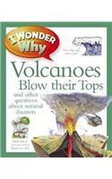 I Wonder Why Volcanoes Blow Their Tops: (302 I Wonder Why Kingfisher)