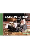 Cats on Catnip: 20 Postcards: 20 Postcards