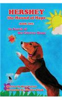 Hershey the Hound of Hope